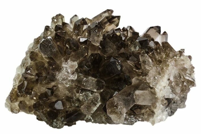 Dark Smoky Quartz Crystal Cluster - Brazil #106967